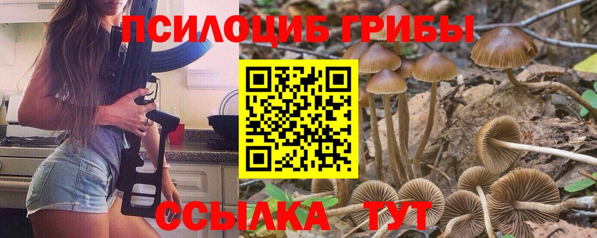 Галлюциногенные грибы GOLDEN TEACHER Лесозаводск